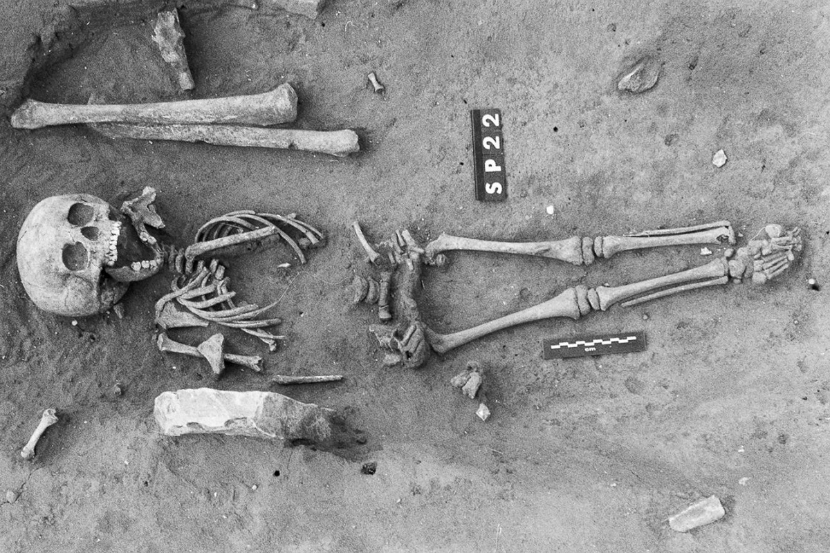 کشف اسکلت انسان کشف اسکلت انسان