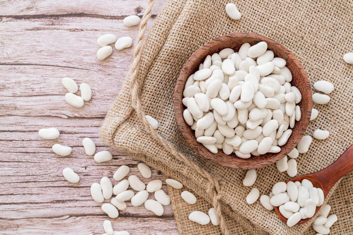 لوبیا سفید، حبوباتی سرشار از فولات
