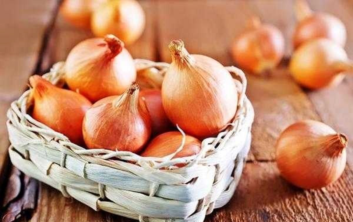 از خواص پیاز چه میدانید؟ از خواص پیاز چه میدانید؟