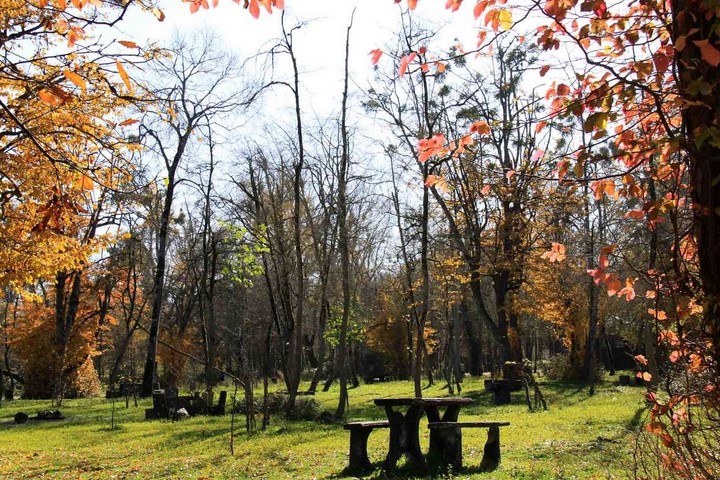 معرفی پارک جنگلی سیسنگان استان مازندران