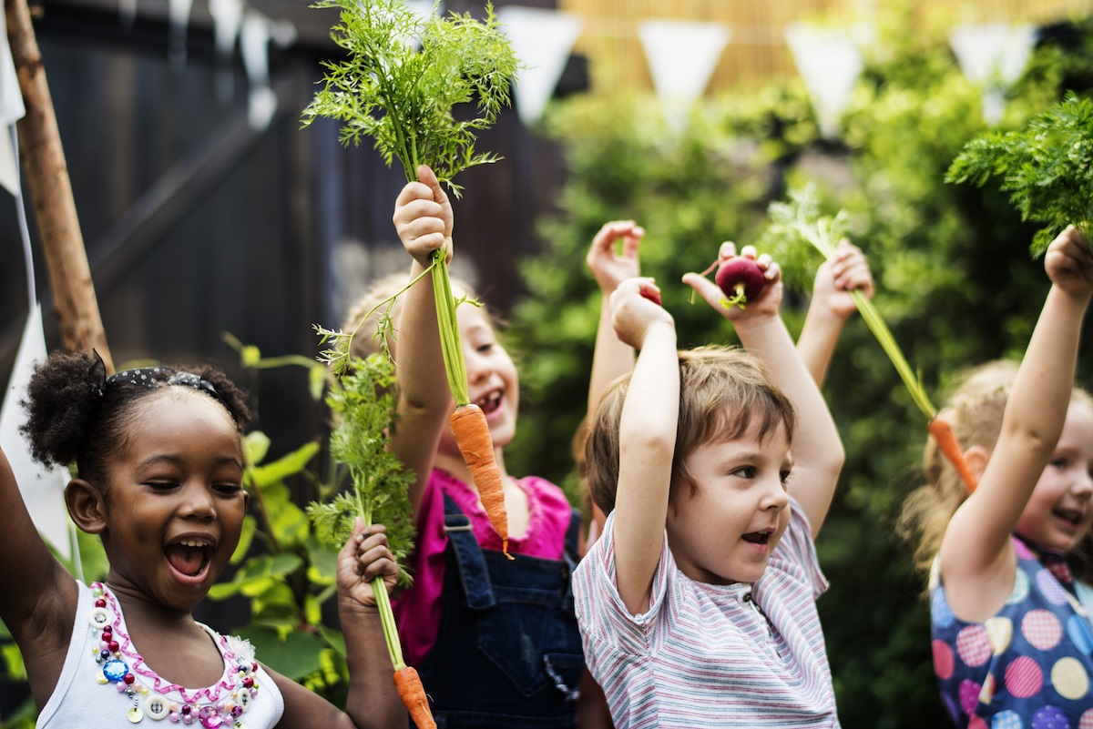 راهکارهای کاهش مصرف غذاهای فرآوری شده راهکارهای کاهش مصرف غذاهای فرآوری شده