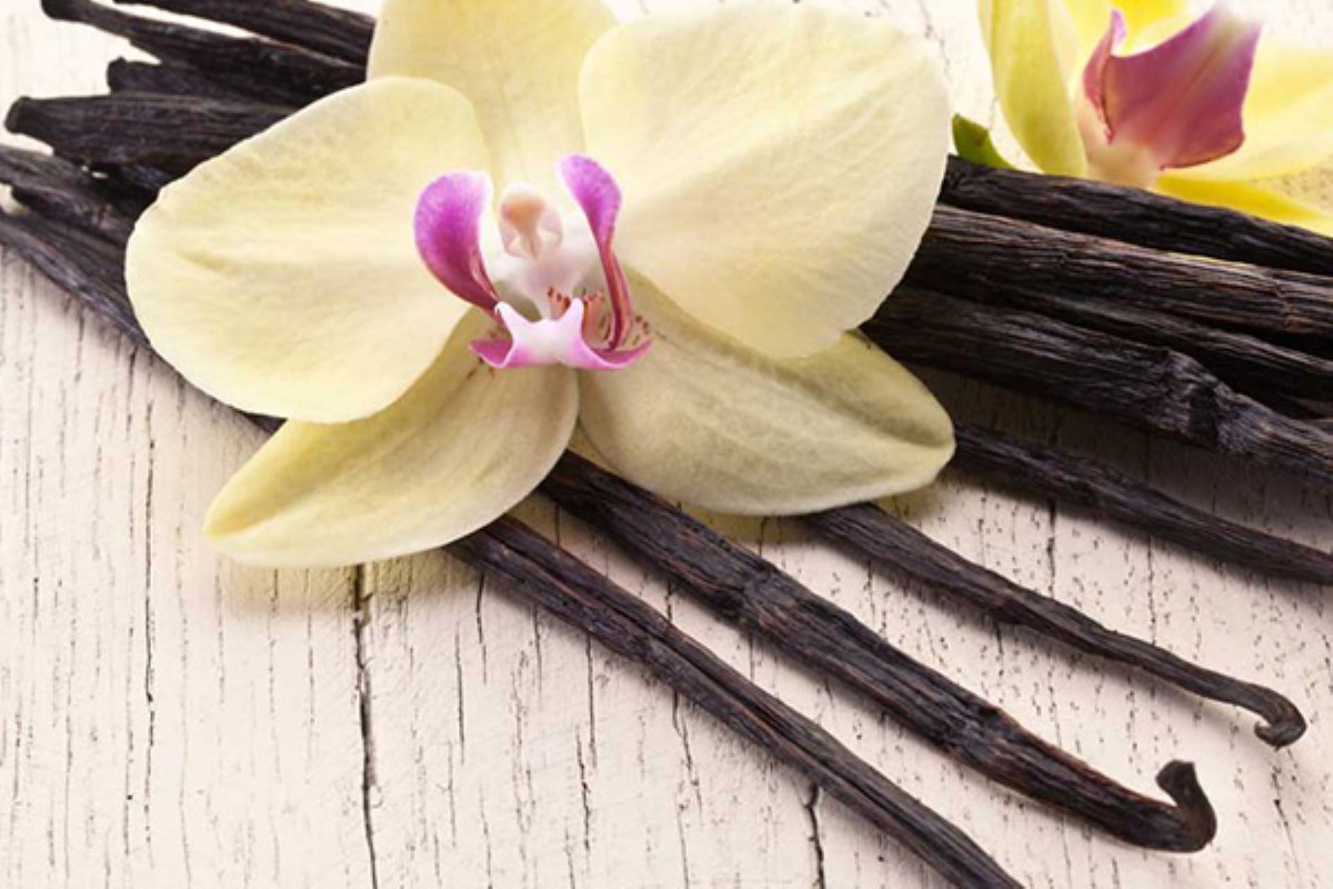 وانیل، گیاهی خوش عطر و پرخاصیت