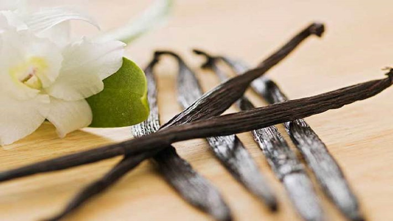 وانیل، گیاهی خوش عطر و پرخاصیت