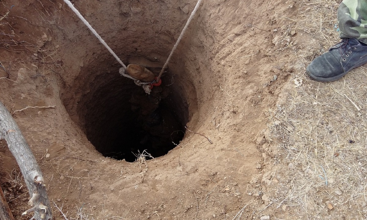 قتل به خاطر عتیقه