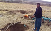 قتل به خاطر عتیقه