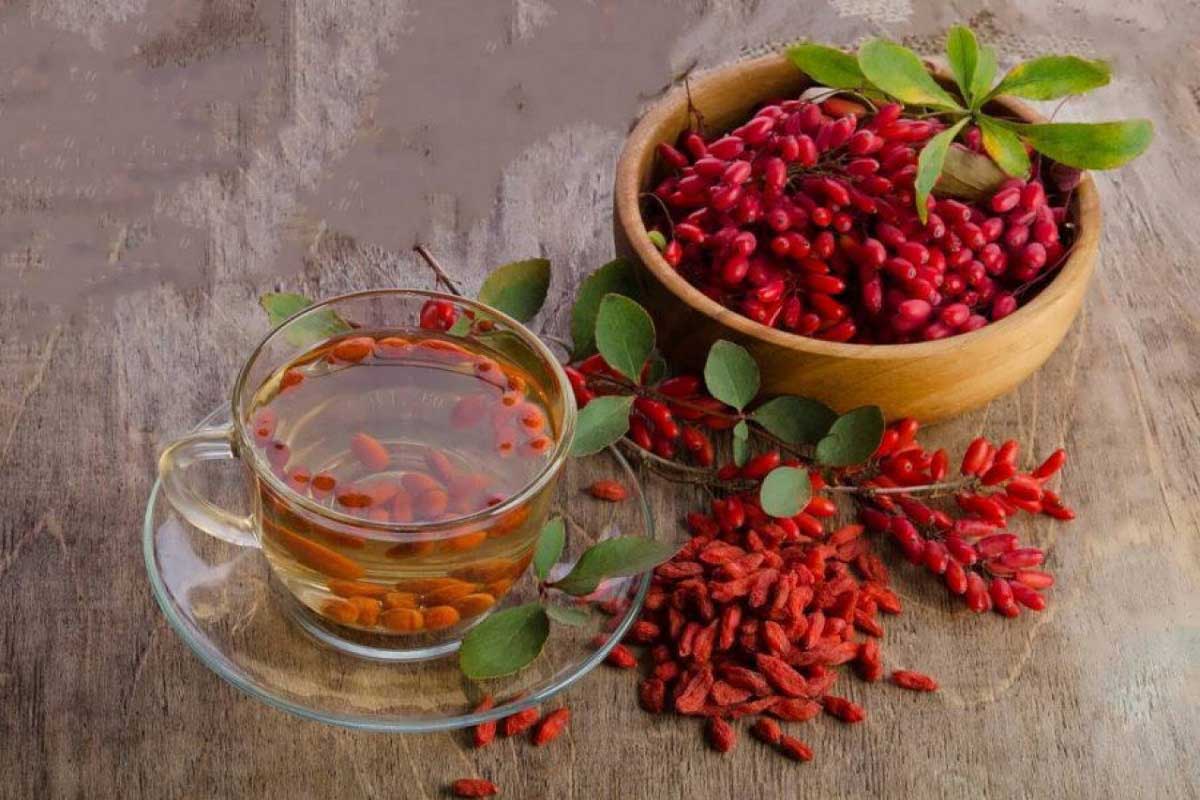 زرشک و تاثیر آن در سم زدایی از بدن زرشک و تاثیر آن در سم زدایی از بدن