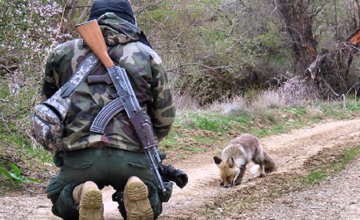 مهمترین پروندههای قتل شکارچیان از سوی محیط بانان مهمترین پروندههای قتل شکارچیان از سوی محیط بانان