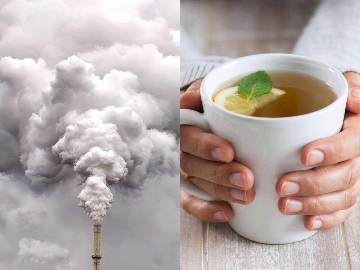 بهترین و بدترین خوراکیها در زمان آلودگی هوا بهترین و بدترین خوراکیها در زمان آلودگی هوا