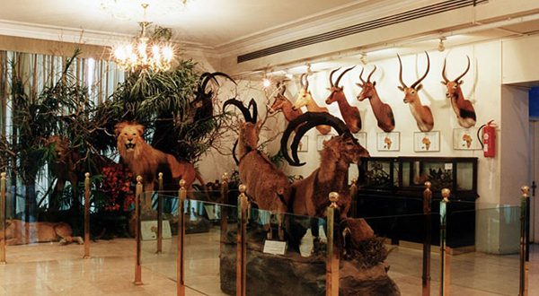معرفی جاذبههای موزه آثار طبیعی و حیات وحش معرفی جاذبههای موزه آثار طبیعی و حیات وحش