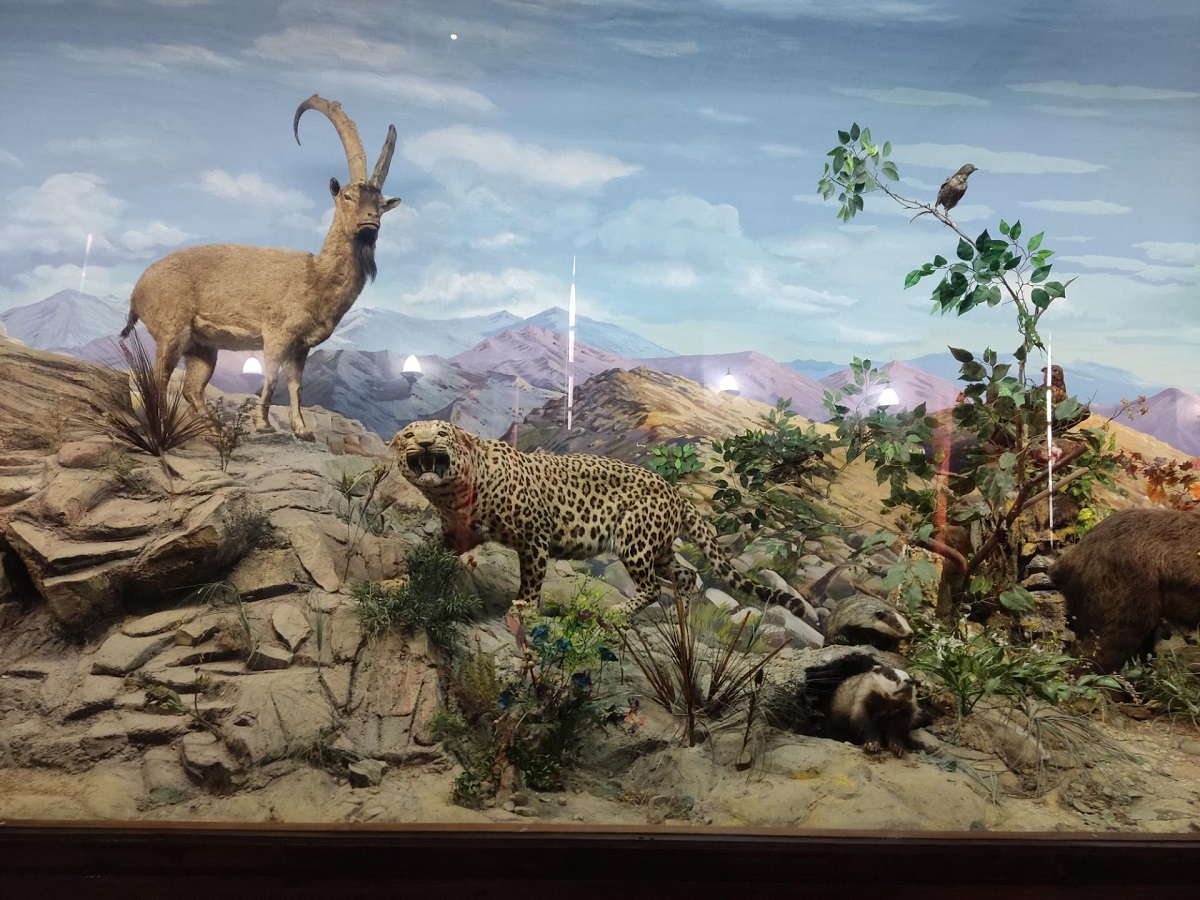 معرفی جاذبههای موزه آثار طبیعی و حیات وحش هفت چنار معرفی جاذبههای موزه آثار طبیعی و حیات وحش هفت چنار