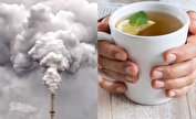 بهترین و بدترین خوراکی‌ها در زمان آلودگی هوا