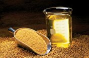 هر آنچه باید درباره روغن سویا بدانید