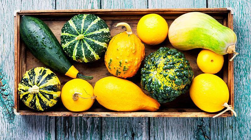 رنگ سبزیجات نشان دهنده چیست؟ رنگ سبزیجات نشان دهنده چیست؟