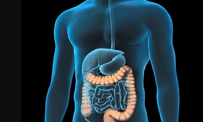 علائم اولیه سرطان روده بزرگ چیست؟