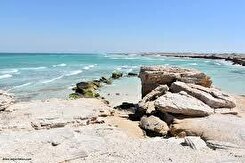 فیلم دیدنی از آبتنی آهوهای دریایی در جزیره لاوان