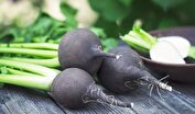 با خواص ترب سیاه آشنا شوید
