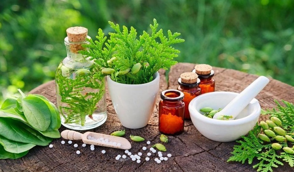 خطرات استفاده نادرست از گیاهان دارویی