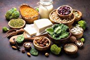 مواد غذایی سرشار از پروتئین را بشناسید