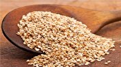 خواص کنجد در پیشگیری از دیابت و کاهش استرس
