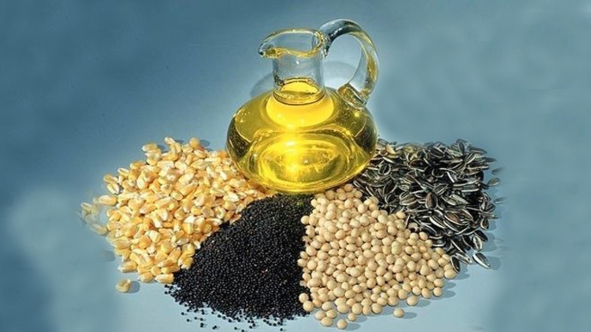 روغن دانهها و خطرات پنهان برای سلامتی روغن دانهها و خطرات پنهان برای سلامتی