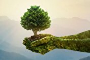 در ایام نوروز چگونه محیط زیست را رعایت کنیم؟