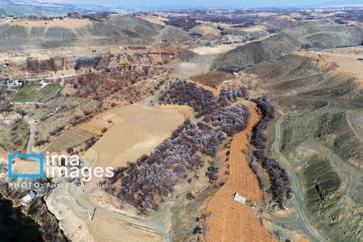 شکوفههای زیبای بهاری در چهارمحال و بختیاری شکوفههای زیبای بهاری در چهارمحال و بختیاری