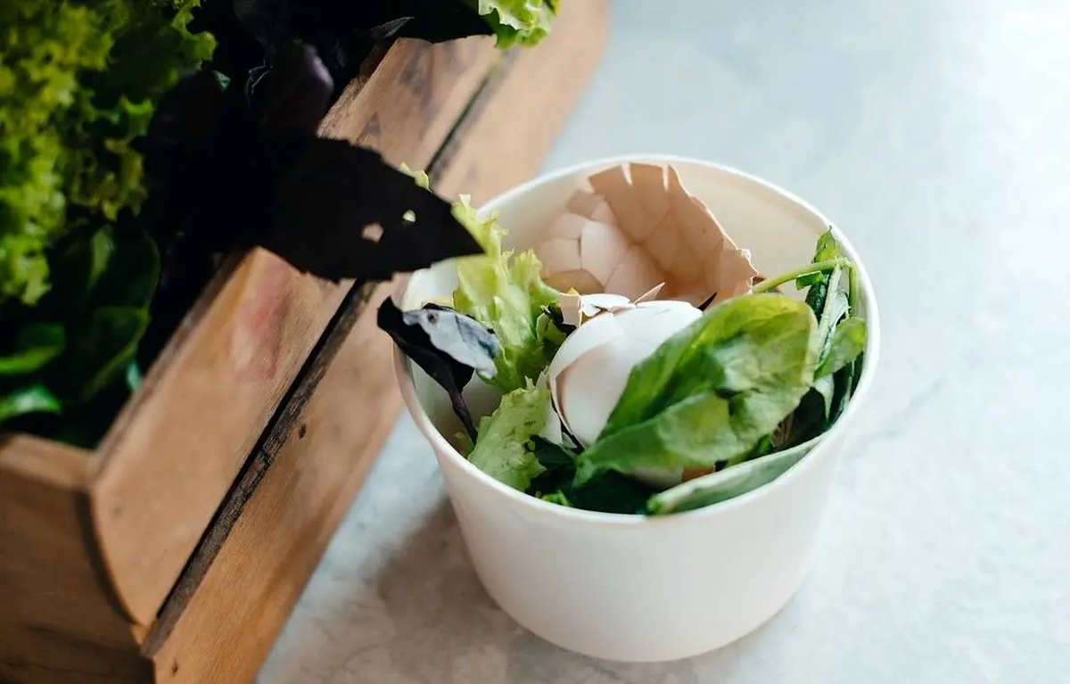 ۹ زباله مفید آشپزخانه که کود گیاهی هستند