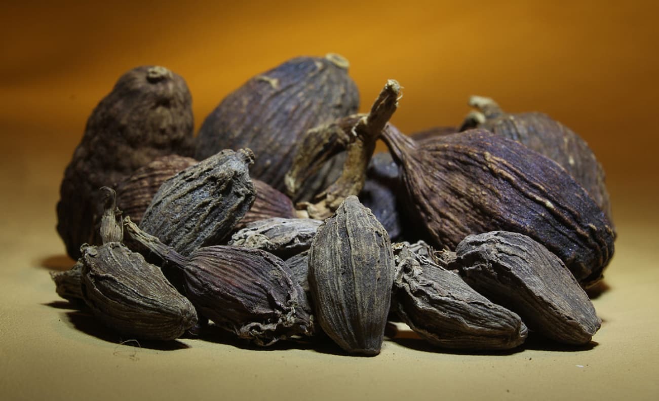 خواص هلیله سیاه برای پوست و مو، لاغری و سلامتی بدن