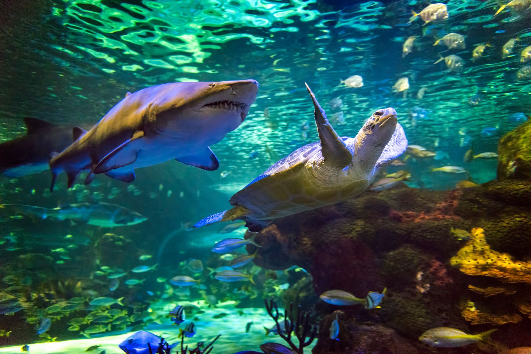 بهترین مکانهای گردشگری برای سفر با کودکان بهترین مکانهای گردشگری برای سفر با کودکان