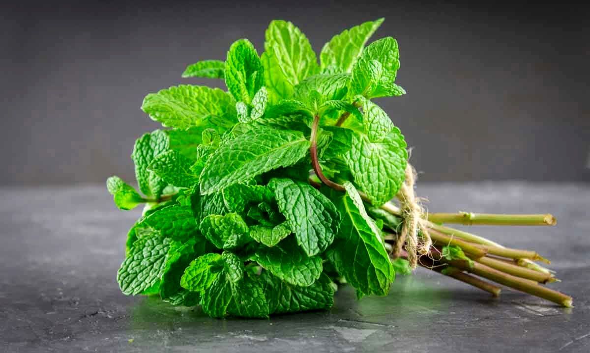 نعناع را در برنامه غذایی خود فراموش نکنید