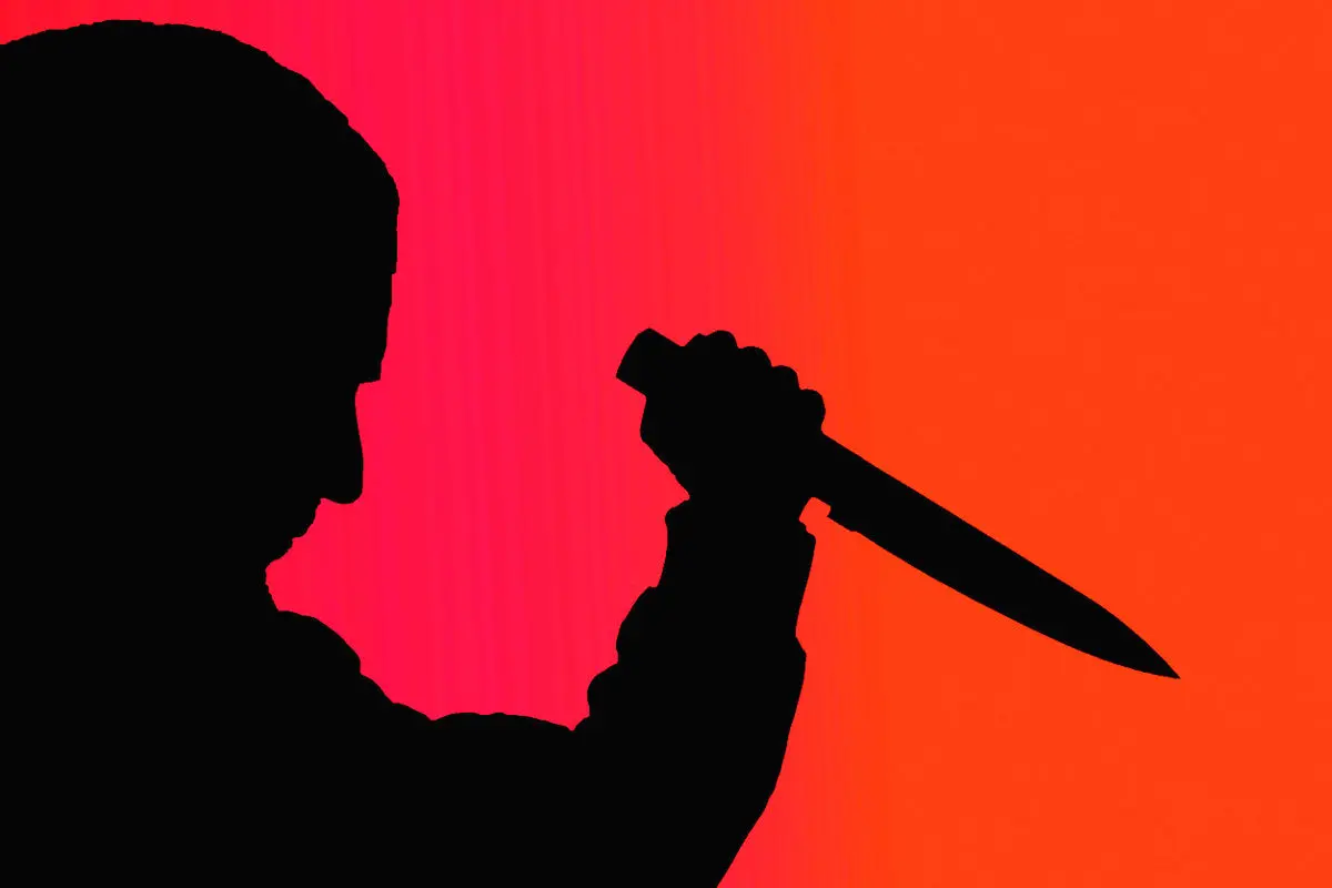 سلاخی سارق خانه با ۱۱ ضربه چاقوی صاحبخانه سلاخی سارق خانه با ۱۱ ضربه چاقوی صاحبخانه