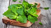 نعناع را در برنامه غذایی خود فراموش نکنید