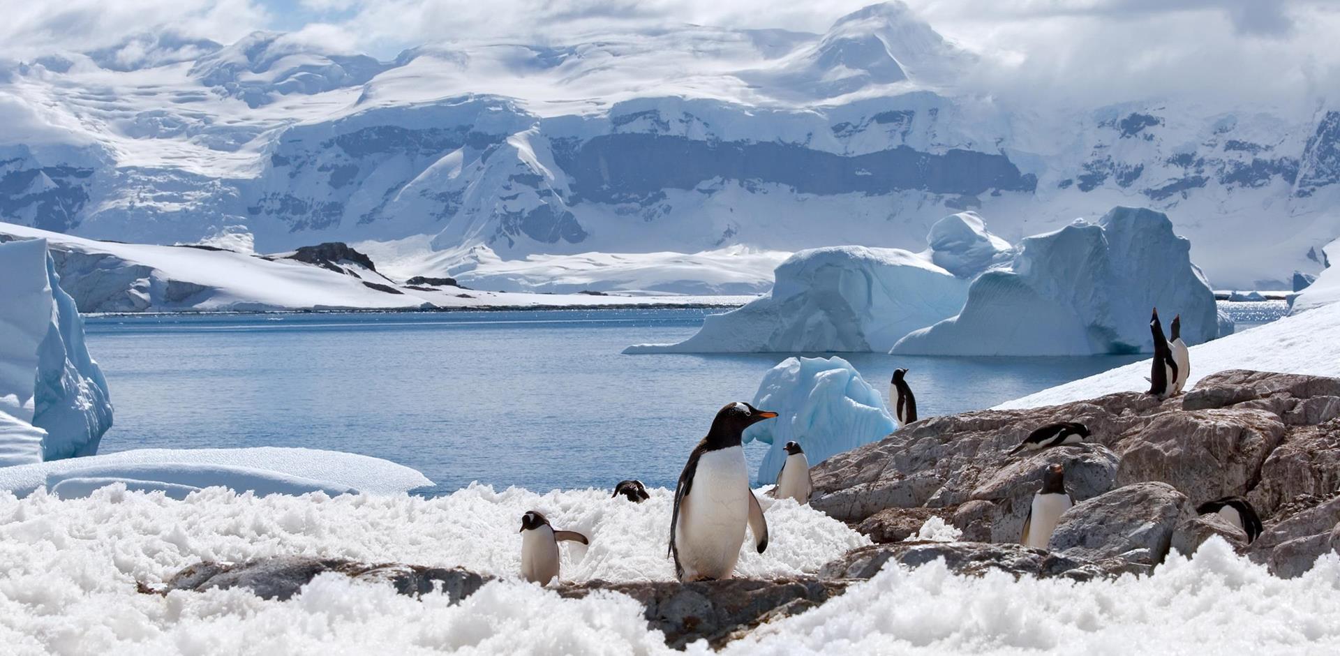 با حقایق قطب جنوب آشنا شوید