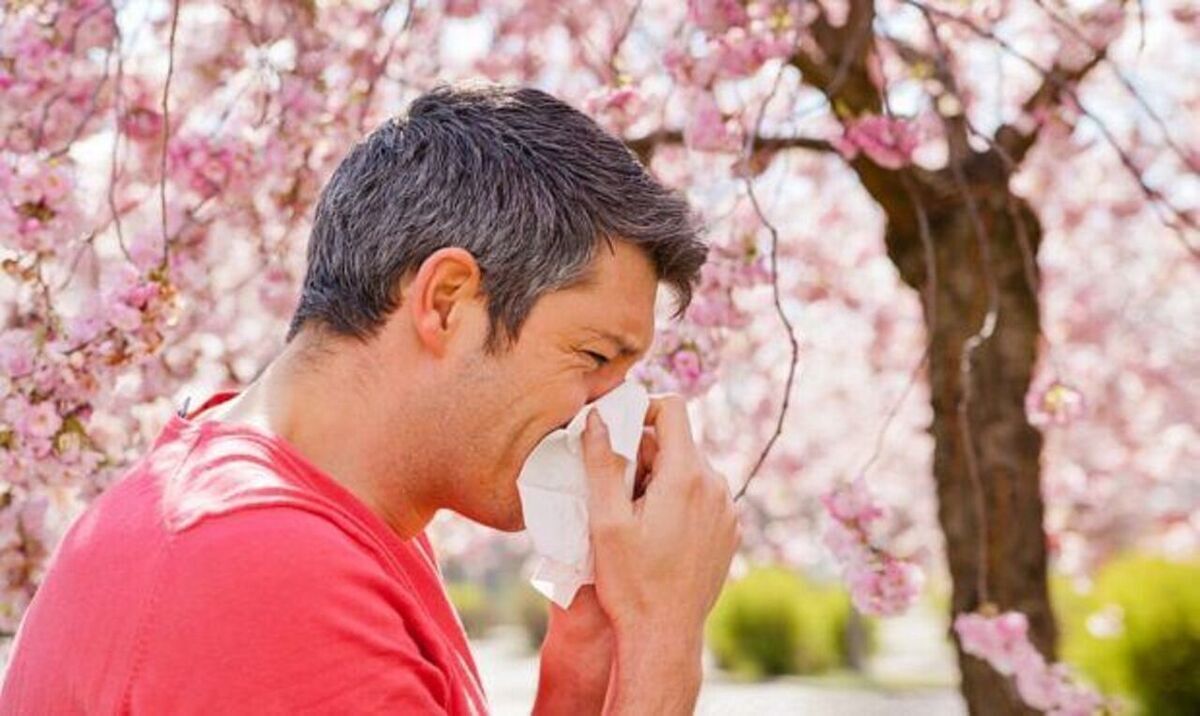 ۴ راهکار برای پیشگیری از حساسیت در فصل بهار