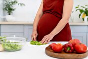 لیستی از میوه ها و غذاهایی که در دوران بارداری نباید مصرف کنید