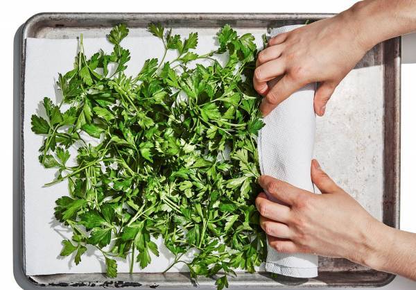 چگونه میتوانیم سبزی خوردن را یک هفته تازه نگه داریم؟