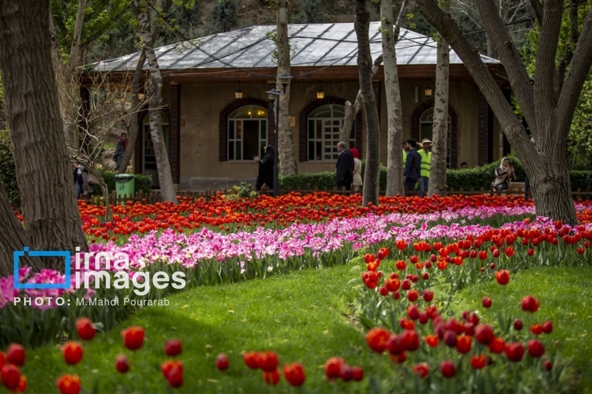 جشنواره لالهها در کرج جشنواره لالهها در کرج