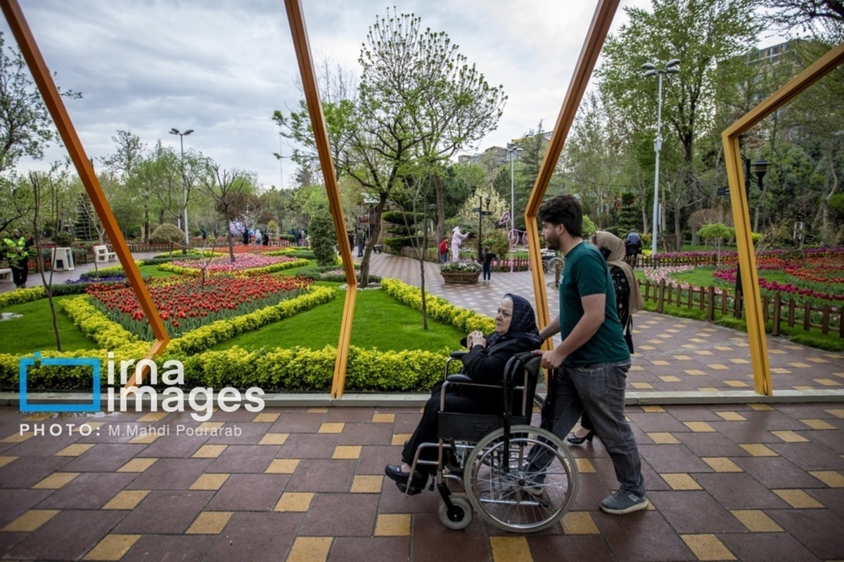 جشنواره لالهها در کرج جشنواره لالهها در کرج