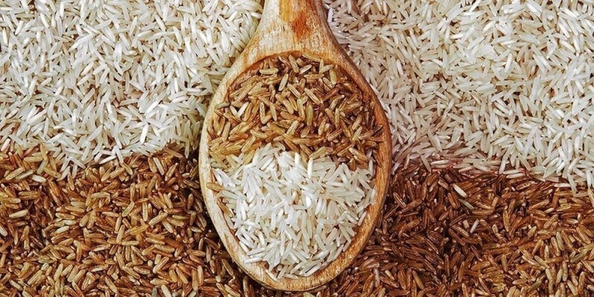 برنج-قهوهای-سالمتر-یا-پرخطرتر برنج قهوهای؛ سالمتر یا پرخطرتر؟