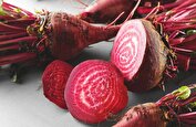 در بهار چی بخوریم؟ معرفی ۵ ماده غذایی خوشمزه و مفید بهاری