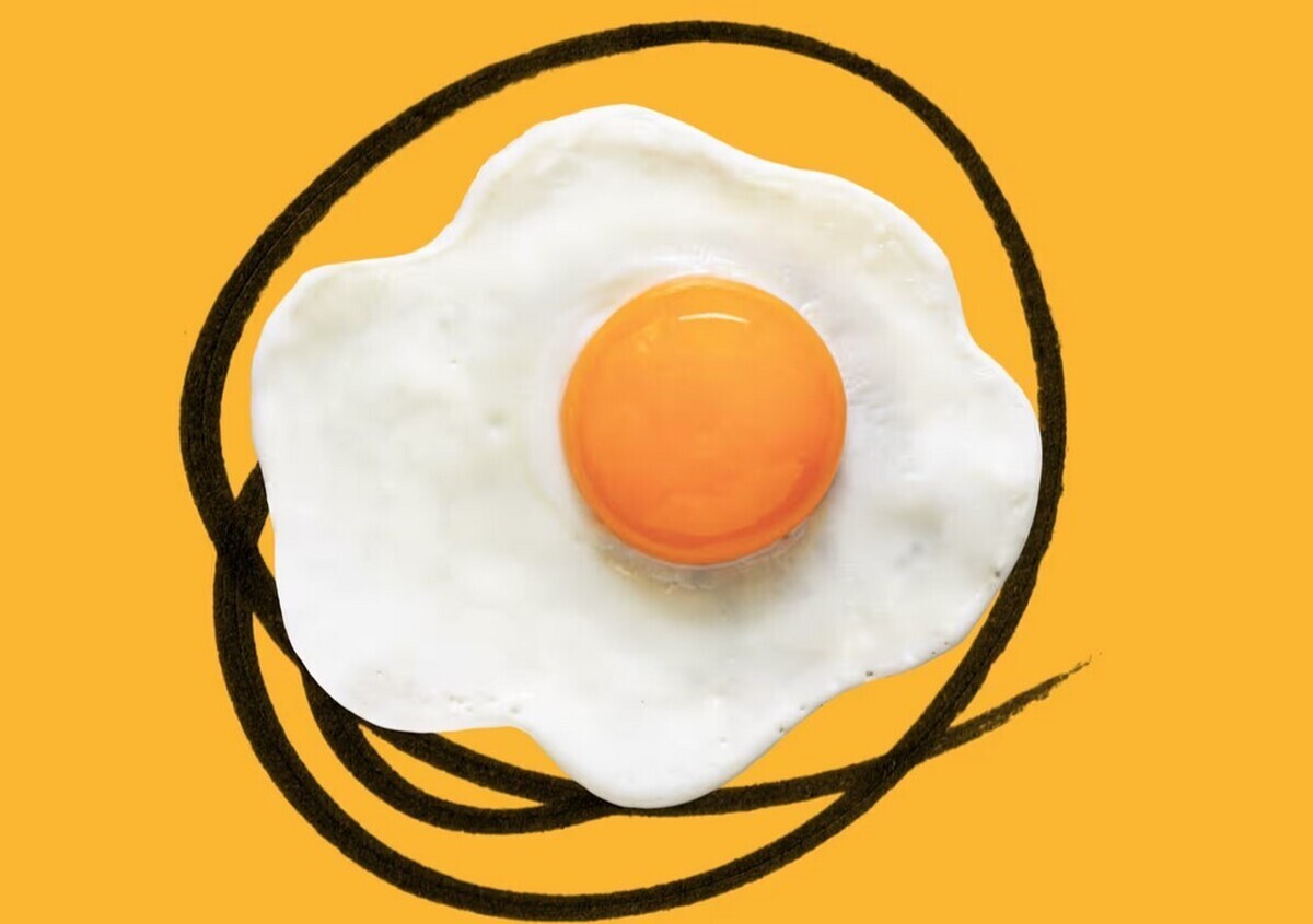 چگونه کلسترول بالا را قبل از اینکه دیر شود، کنترل کنیم؟ چگونه کلسترول بالا را قبل از اینکه دیر شود، کنترل کنیم؟