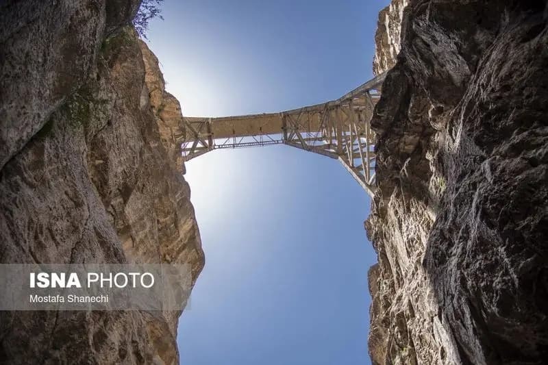 تصاویری از پل ورسک در ۸۹ سالگی تصاویری از پل ورسک در ۸۹ سالگی