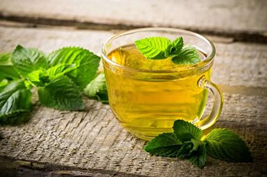 درمان آلزایمر با این ۲ گیاه