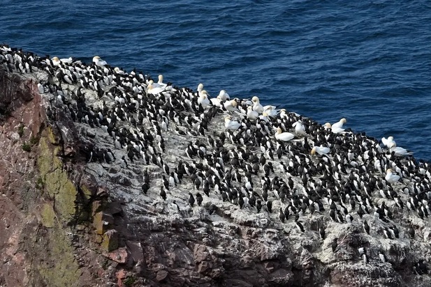 تصاویر دیدنی و بامزه از حیات وحش