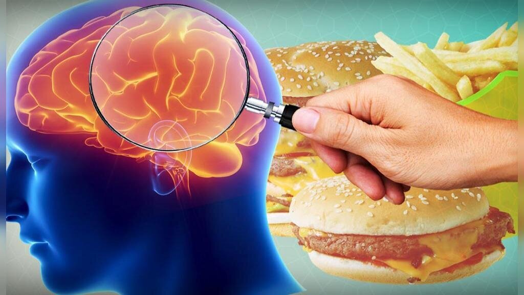 مختل شدن عملکرد مغز با مصرف فست فود‌ها
