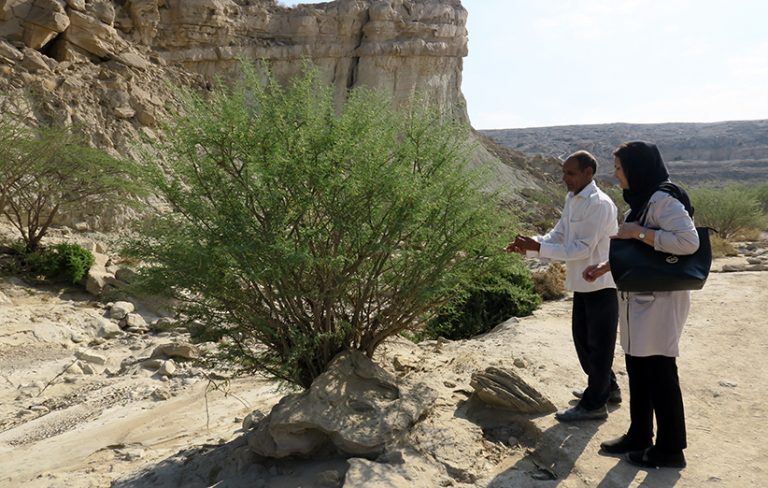 تأثیر گردشگری بر سبک زندگی جوامع محلی