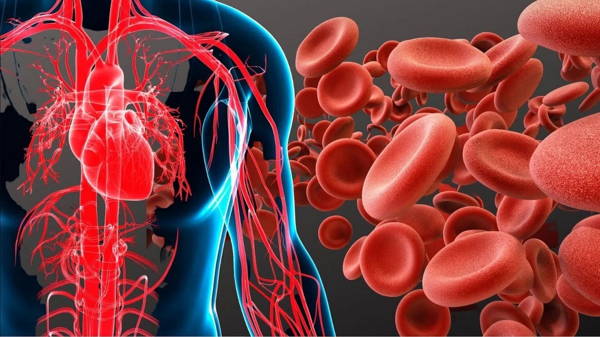 تفاوت کمخونی ناشی از فقر آهن و ویتامین B ۱۲ تفاوت کمخونی ناشی از فقر آهن و ویتامین B ۱۲