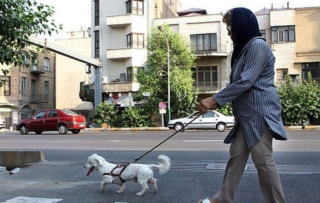 نگهداری حیوانات خانگی