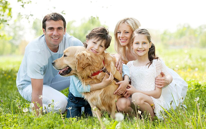 نگهداری حیوانات خانگی