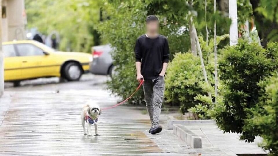 نگهداری حیوانات خانگی